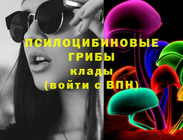 крисы Алексин