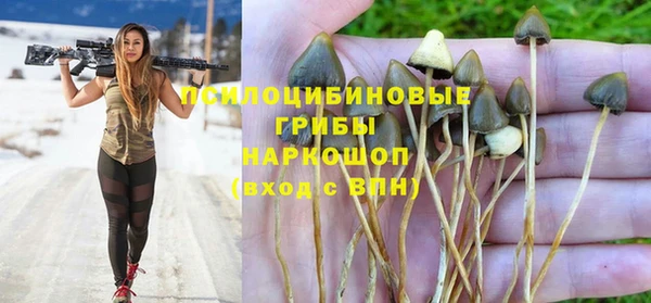 spice Алексеевка