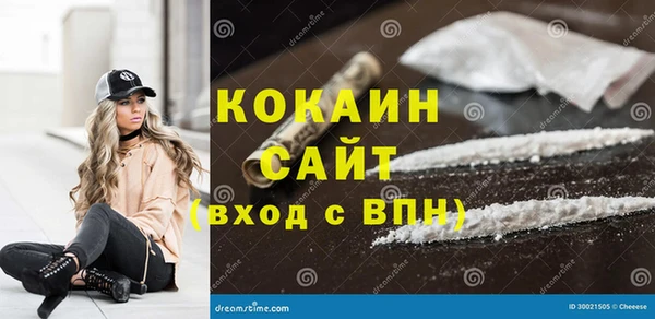крисы Алексин
