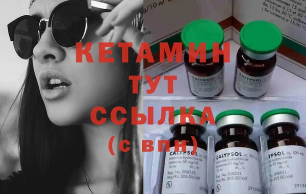 крисы Алексин