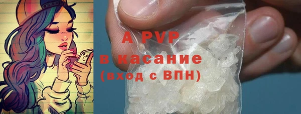крисы Алексин