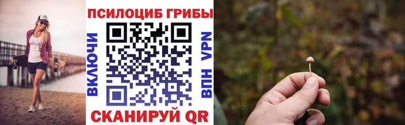 Псилоцибиновые грибы Magic Shrooms  что такое   Мытищи 